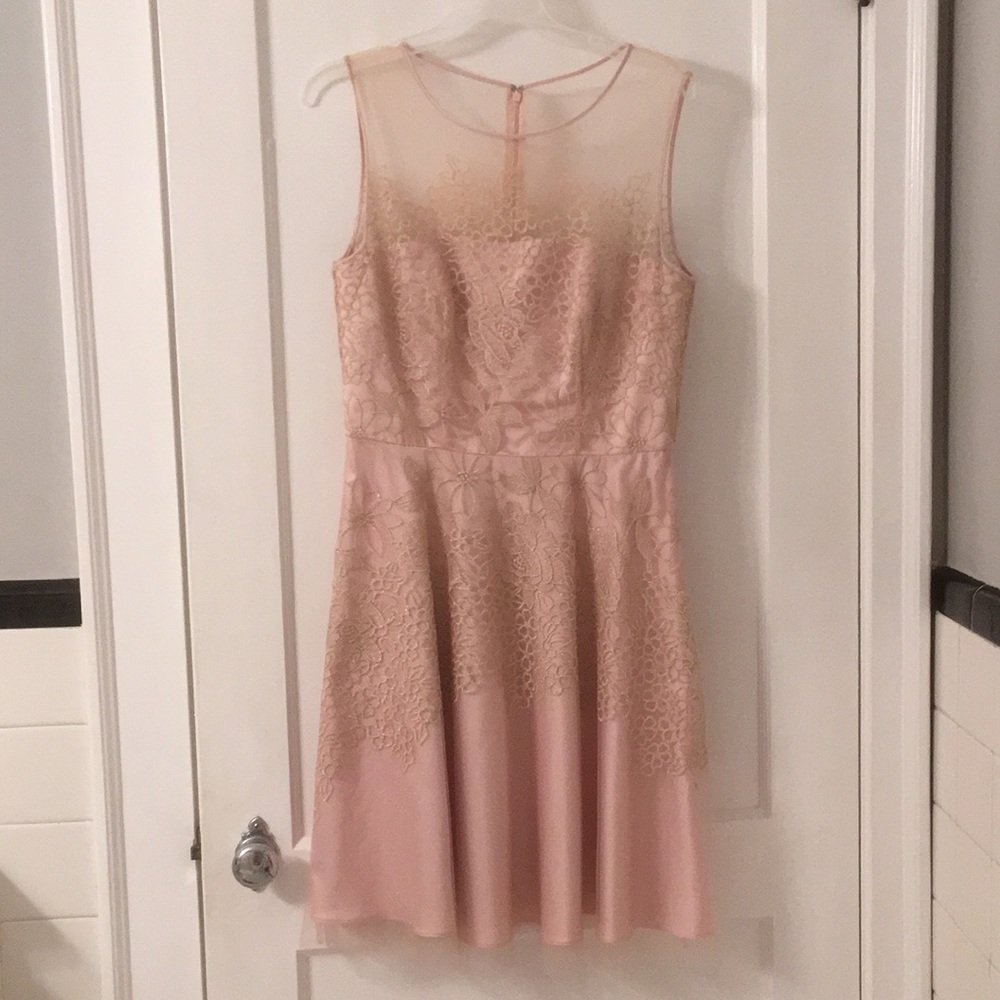 Tahari By ASL Embroidered Fit and Flare Dress
